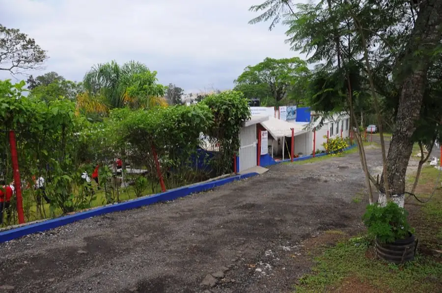 Camino de acceso al plantel entre plantas y árboles